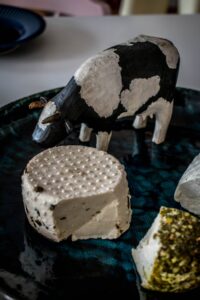 282300475_128110249874065_9022981030073003717_n-2