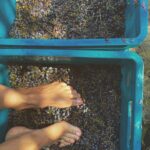 303086123_162014663150290_1740559193702131489_n-1