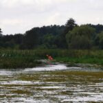 63b5e816-ad84-4aca-99d0-3713c51d6992