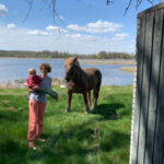 WhatsApp-Image-2024-01-12-at-22.42.29