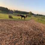 WhatsApp-Image-2024-01-12-at-22.42.53