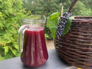 WhatsApp-Image-2024-01-12-at-22.47.41-7