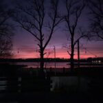 WhatsApp Image 2024-02-01 at 19.53.31