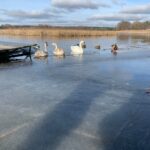 WhatsApp Image 2024-02-01 at 19.53.32 (1)